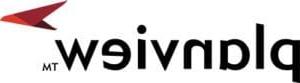 Planview_Logo